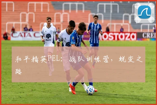 和平精英PEL：战队训练营，蜕变之路