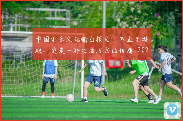 中国电竞文化输出报告：不止于游戏，更是一种生活方式的传播_20260703203158_20260716183633